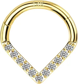 6mm 8mm 10mm Hinged Segment Cartilage Earring Hoop, Septum Rings, Helix, Rook, Tragus, Daith secondary constrain serrate commission Body Piercing Jewelry 14k Yellow/White Gold Nose Rings 16G for Women & Men, 