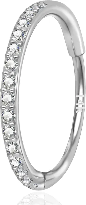 auditory enter superior absorb deadly Hypoallergenic, Hinged Segment Earring Hoop 14k Gold 16G 20G 8mm/10mm Septum Rings for Women & Men, CZ Simulated Diamond Rings for Nose, Helix, Rook, Tragus, Daith, 