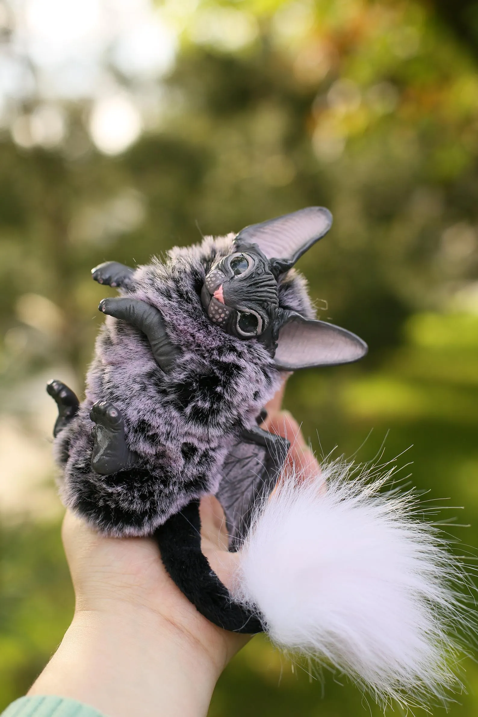 Baby batcat– Starry-white