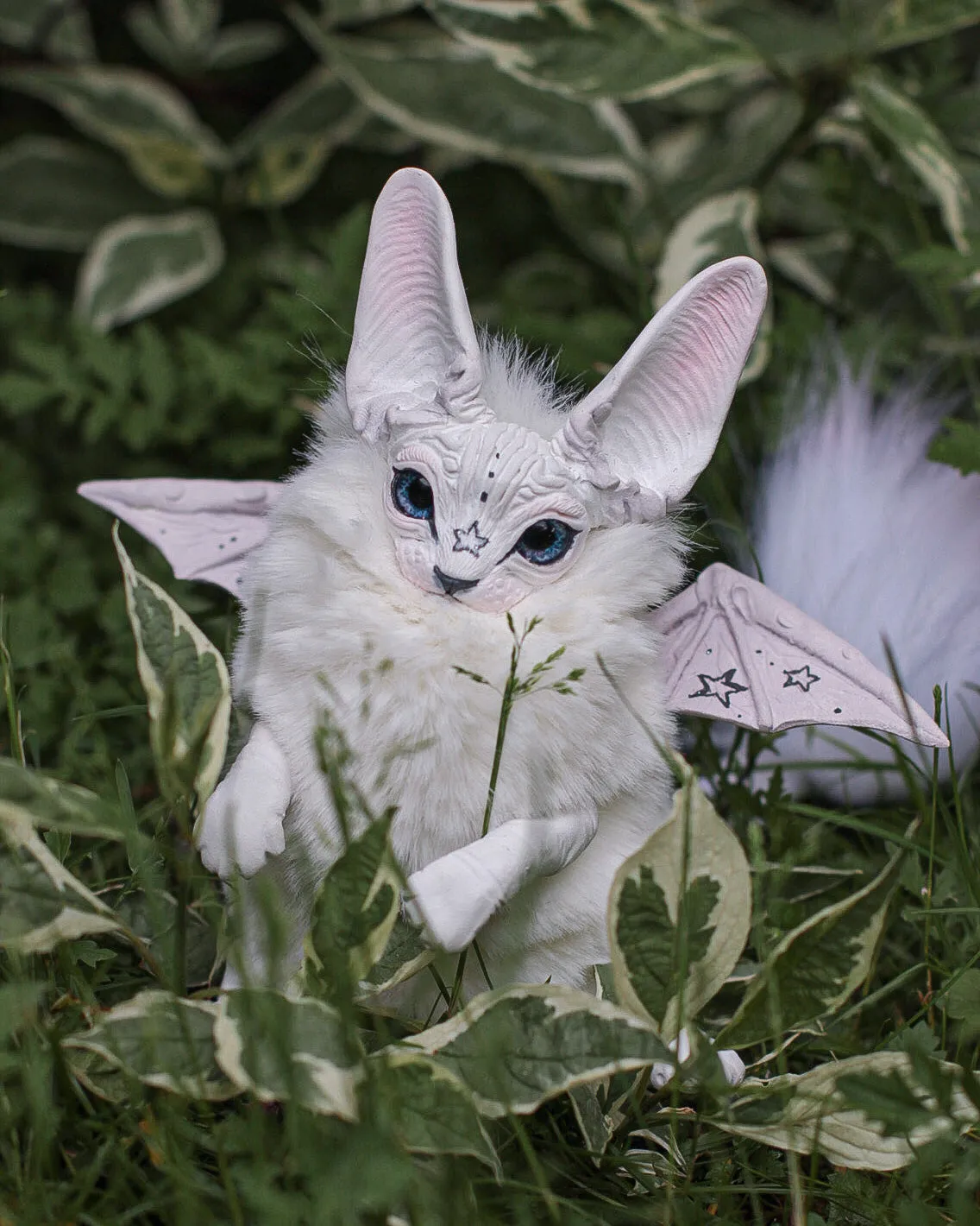 Baby batcat– Starry-white
