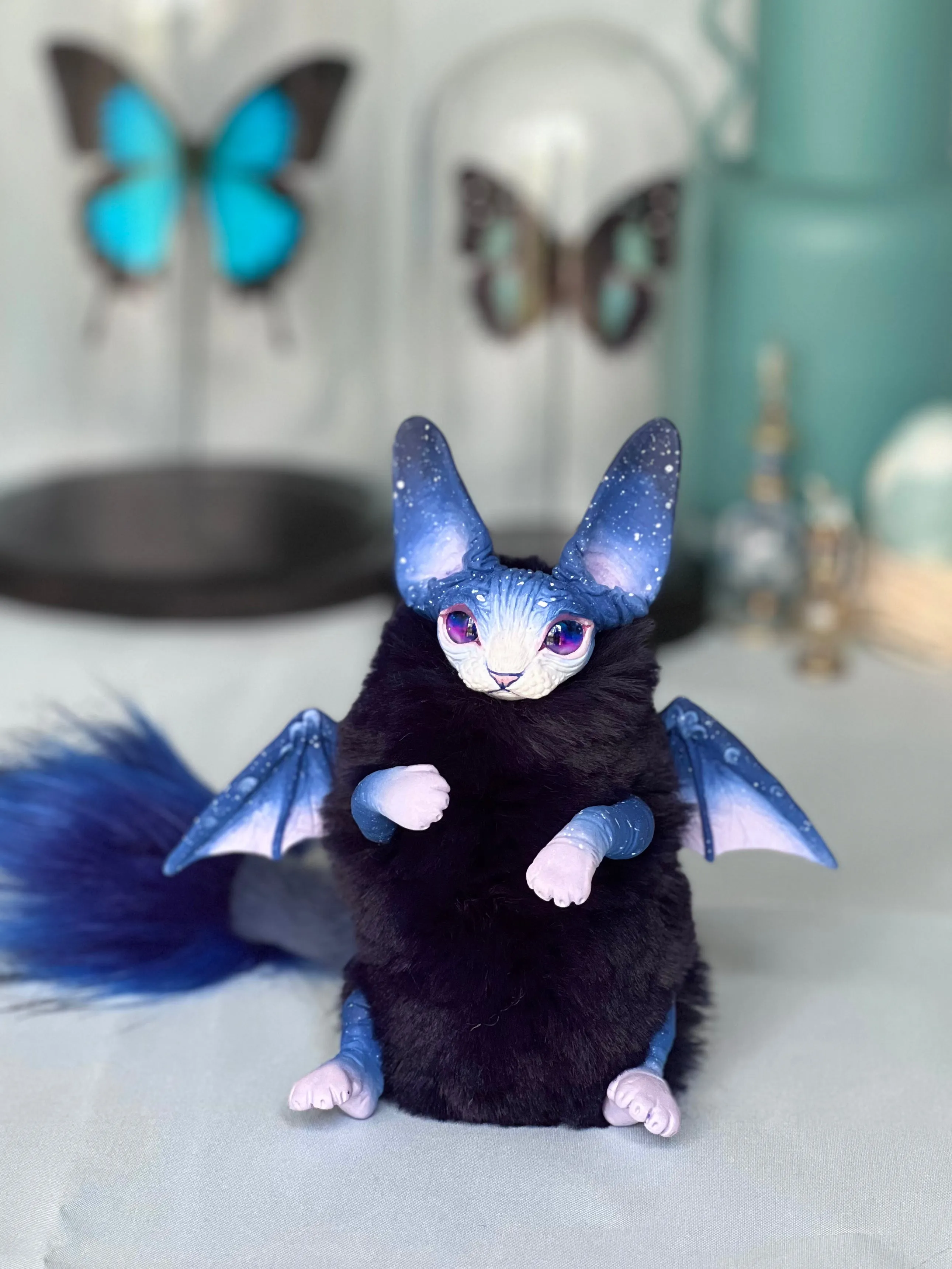 Baby batcat– Stellar-violet
