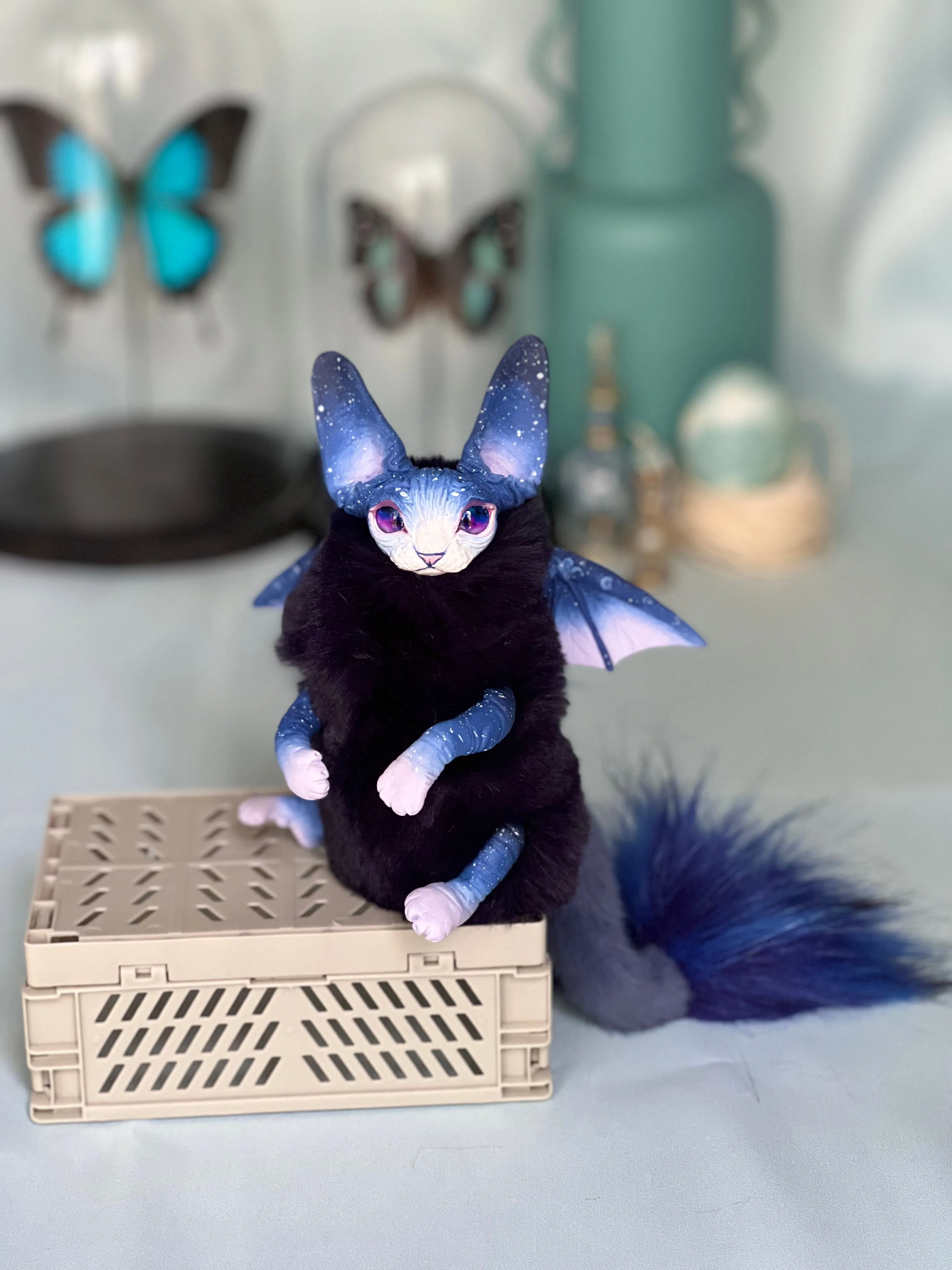 Baby batcat– Stellar-violet