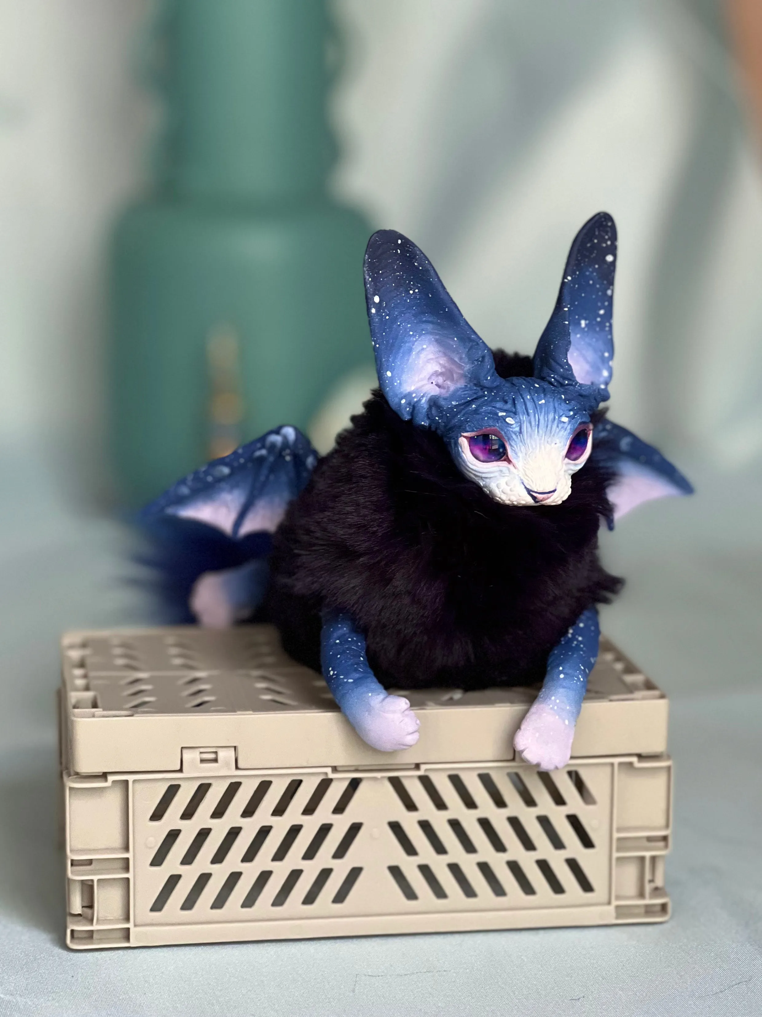 Baby batcat– Stellar-violet