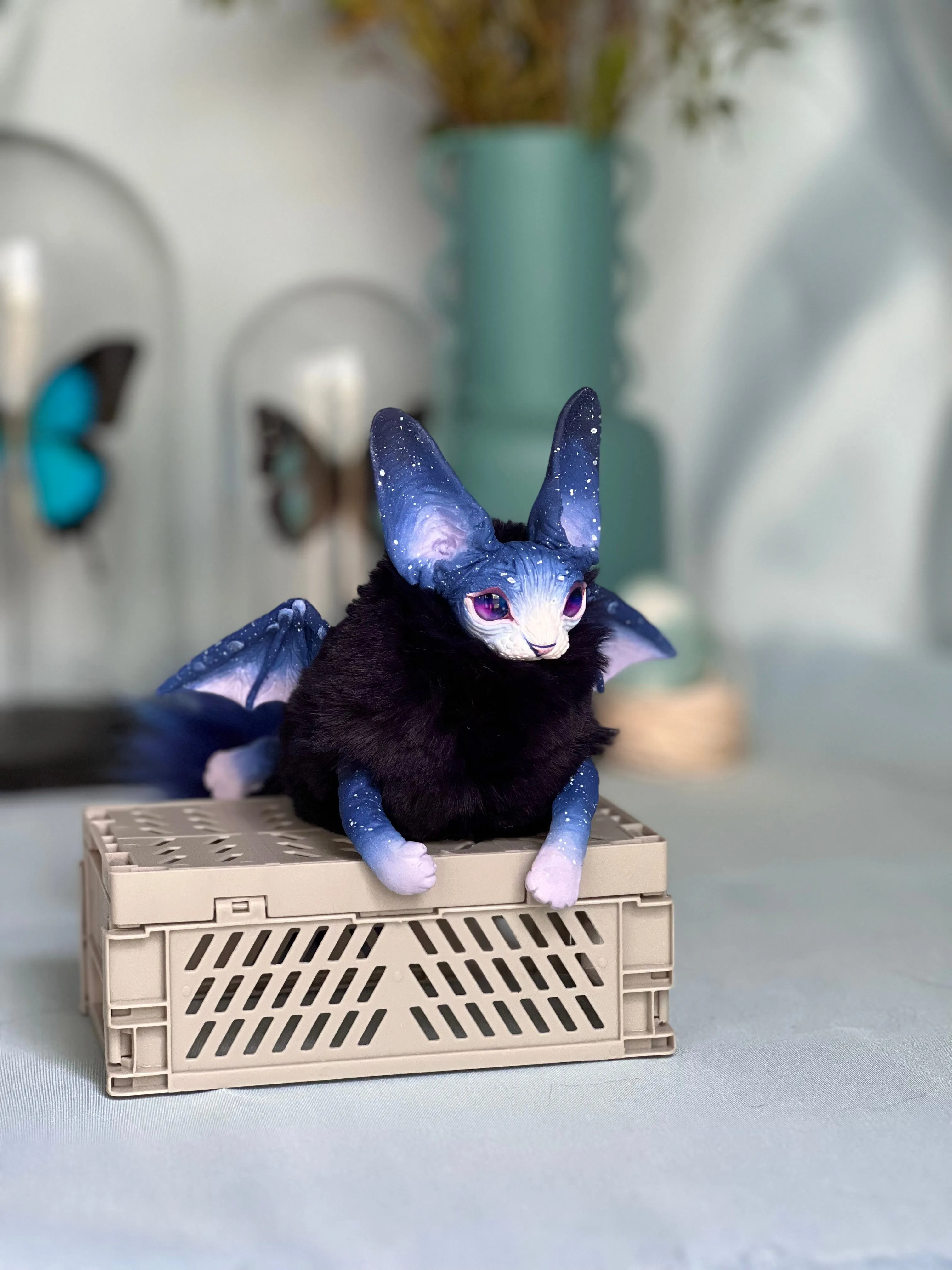 Baby batcat– Stellar-violet
