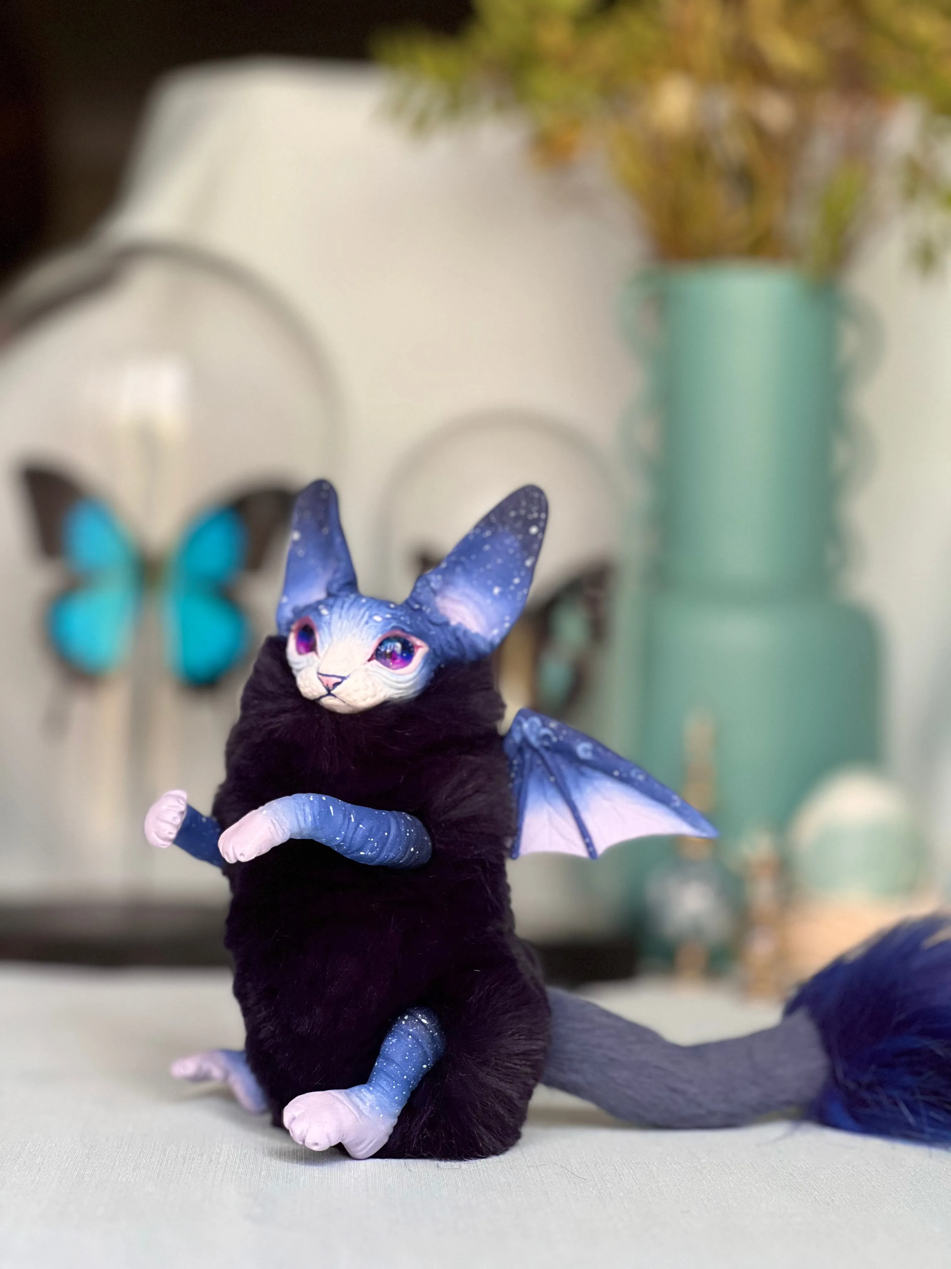 Baby batcat– Stellar-violet