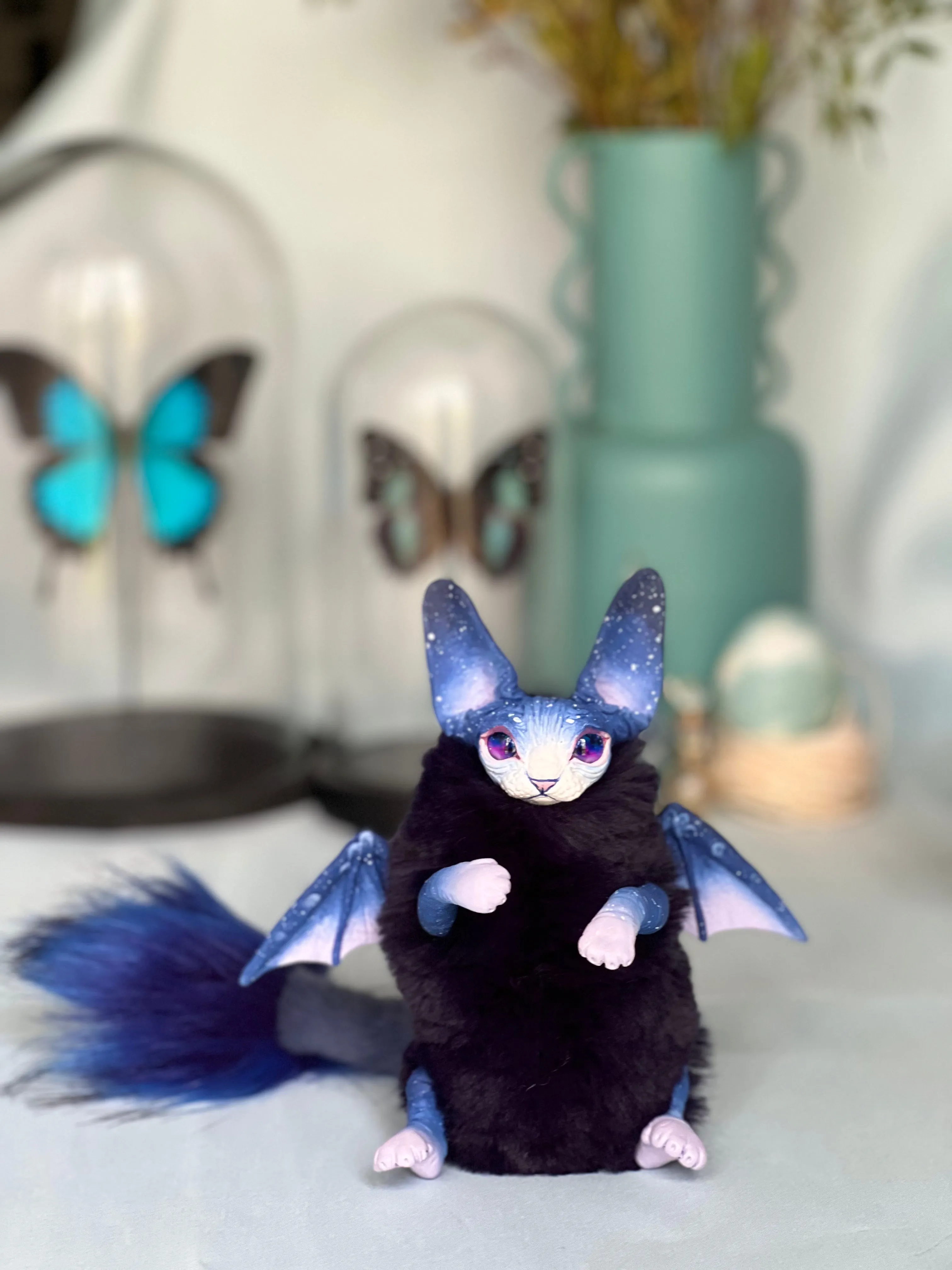 Baby batcat– Stellar-violet