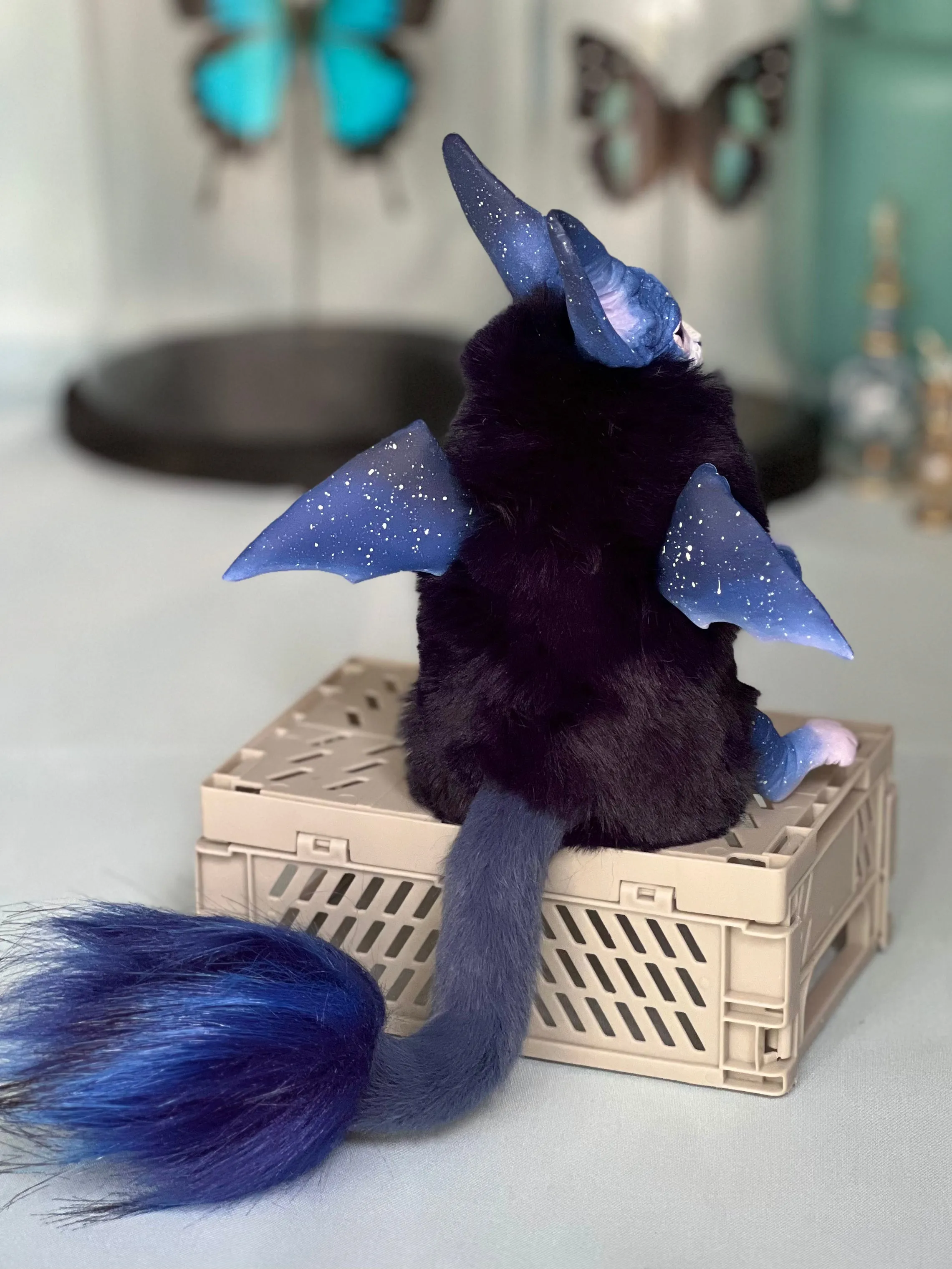 Baby batcat– Stellar-violet