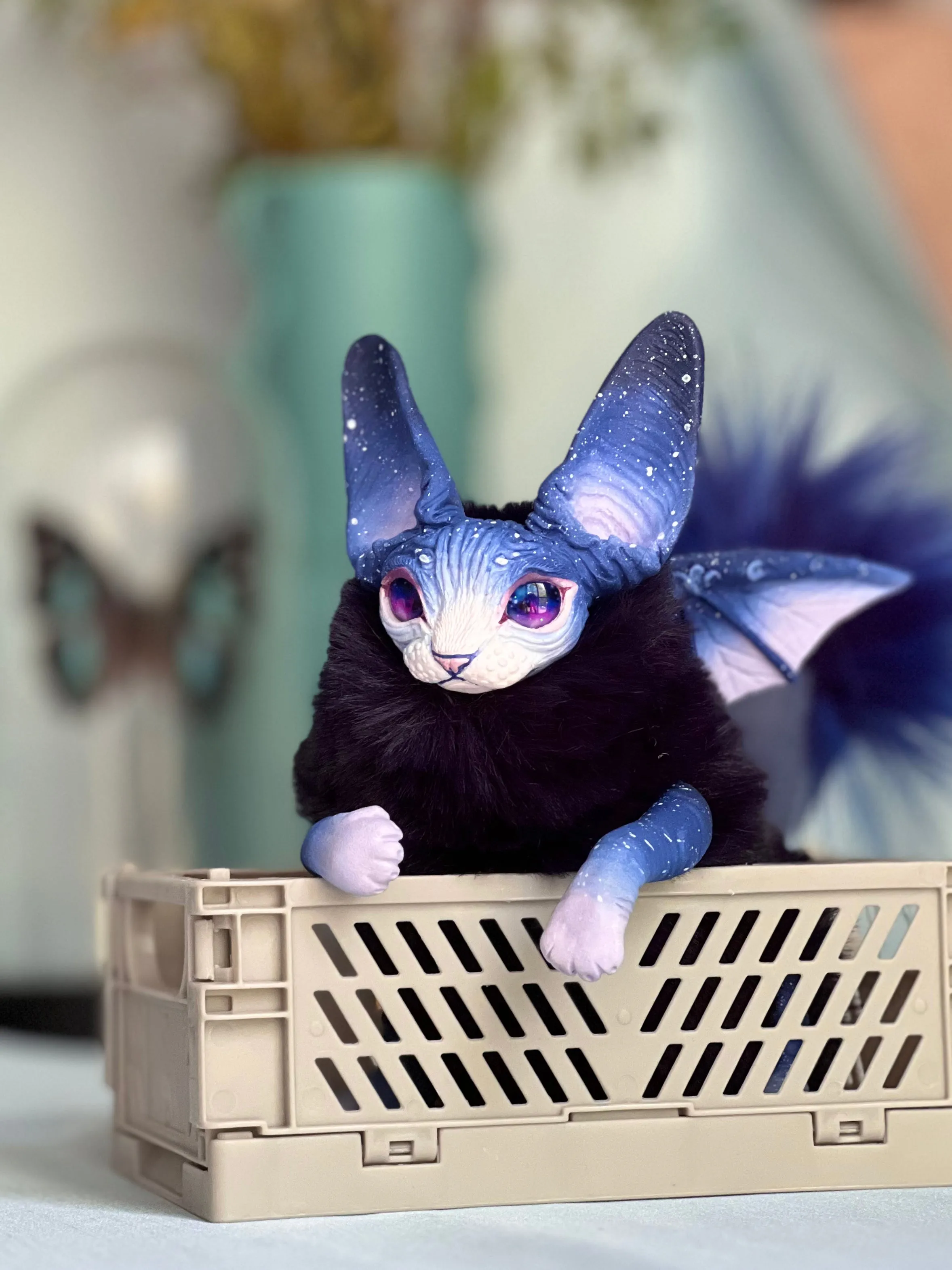 Baby batcat– Stellar-violet