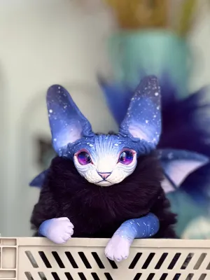 Baby batcat– Stellar-violet