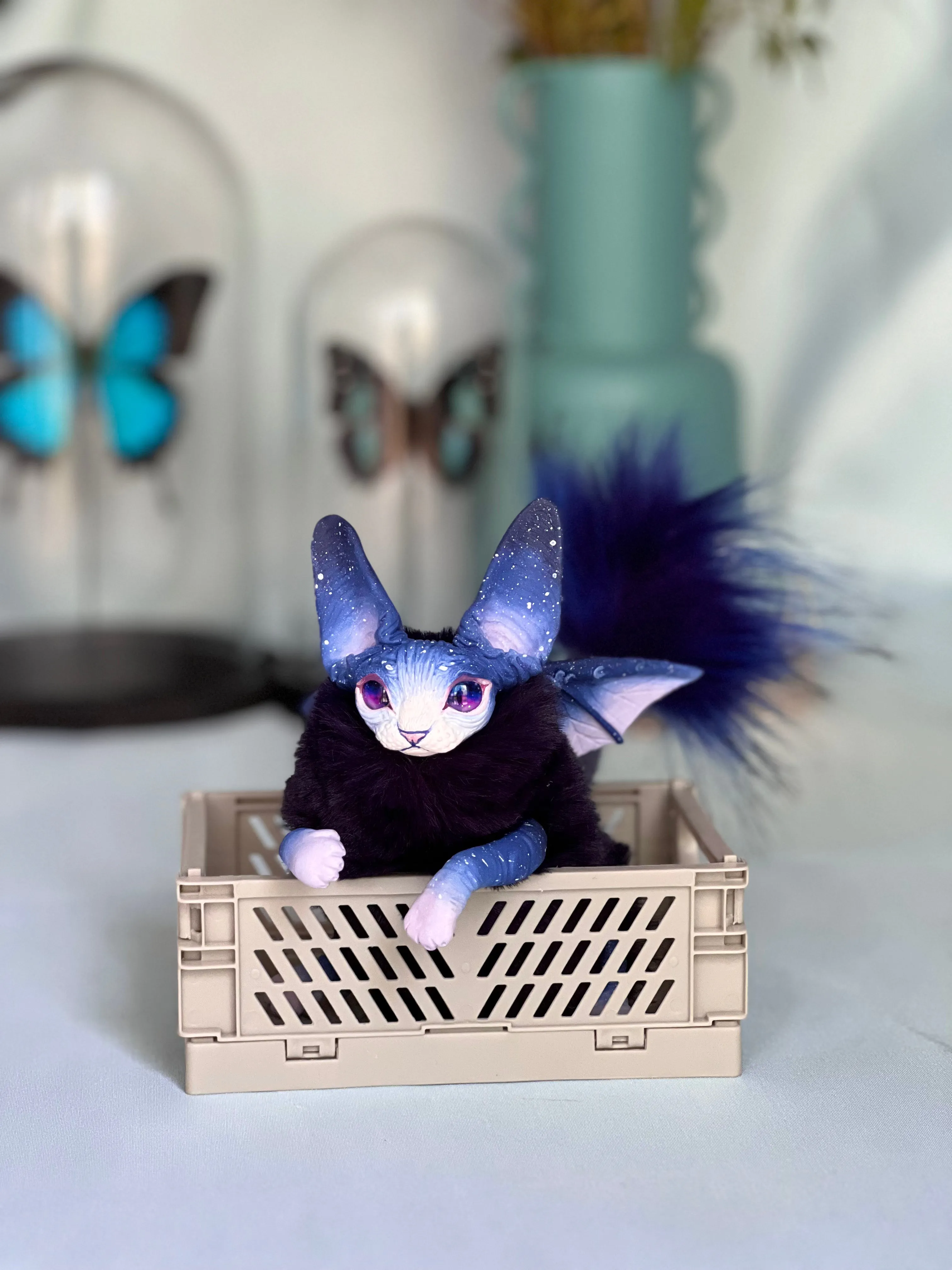 Baby batcat– Stellar-violet