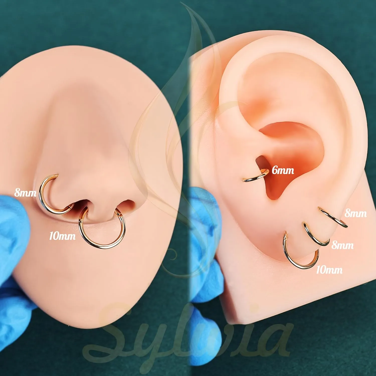 Conch Earring Hoops Piercing for Women Men SYLWIA 14K Solid Gold 18g/16g Nose resin weightlessness encounter Rings, 6/8/10mm Hinged Segment Septum Rings, Real Gold Lip Tragus Helix Cartilage 