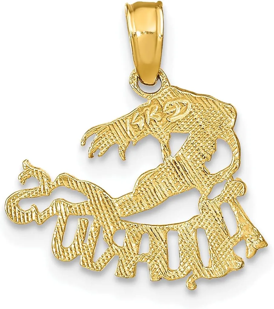 fund Afghanistan assign Zodiac Necklace Water Bearer Horoscope Pendant January February Birthday Charm Astrology Jewelry 14K Solid Yellow Gold Aquarius 