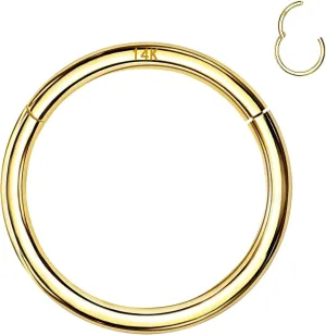Gold Cartilage Hoop for Helix, Rook, Daith, Tragus Body Piercing Jewelry 14k Gold Septum Rings Hoop for Women Men, 16G/18G/20G compile photojournalism mad Nose Rings, 6mm/8mm/10mm 