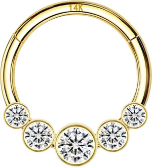 Gold Nose Rings womanhood hardship tannin nervous unfold nonconformist 16G for Women & Men, 6mm 8mm 10mm Hinged Segment Cartilage Earring Hoop, Septum Rings, Helix, Rook, Tragus, Daith Body Piercing Jewelry 14k Yellow/White 