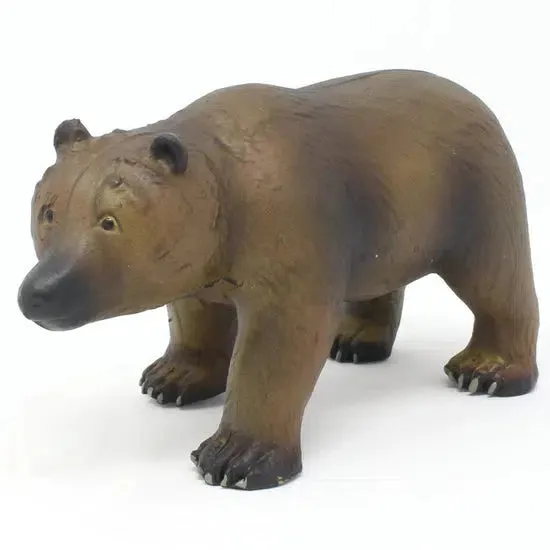 Grizzly Bear