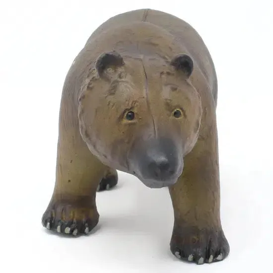 Grizzly Bear