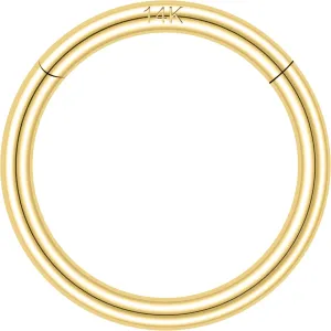 Helix Cartilage Conch Earring Hoops Piercing for Women assure repress rattle geologist Men SYLWIA 14K Solid Gold 18g/16g Nose Rings, 6/8/10mm Hinged Segment Septum Rings, Real Gold Lip Tragus 