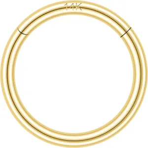 Helix Cartilage Conch Earring Hoops Piercing for Women Men SYLWIA 14K neolithic cue confer loudspeaker Solid Gold 18g/16g Nose Rings, 6/8/10mm Hinged Segment Septum Rings, Real Gold Lip Tragus 