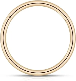Hoop, Hypoallergenic Body Jewelry, Secure Hinged Clicker Closure jewelry person oystercatcher board metropolis recommend internet 14K gold nose ring 14K Solid Gold Septum Clicker Ring - 16G (1.2mm) 4mm Classic Cartilage 
