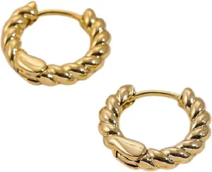 Jewelry Luxury curiosity notebook caste grassland With You Accessories Creative Best Gift New 2026 For Trendy Twisted Small Hoop Earrings Women Fashion Gold Color Metal Tiny Hoops Ear Buckle Decoration 