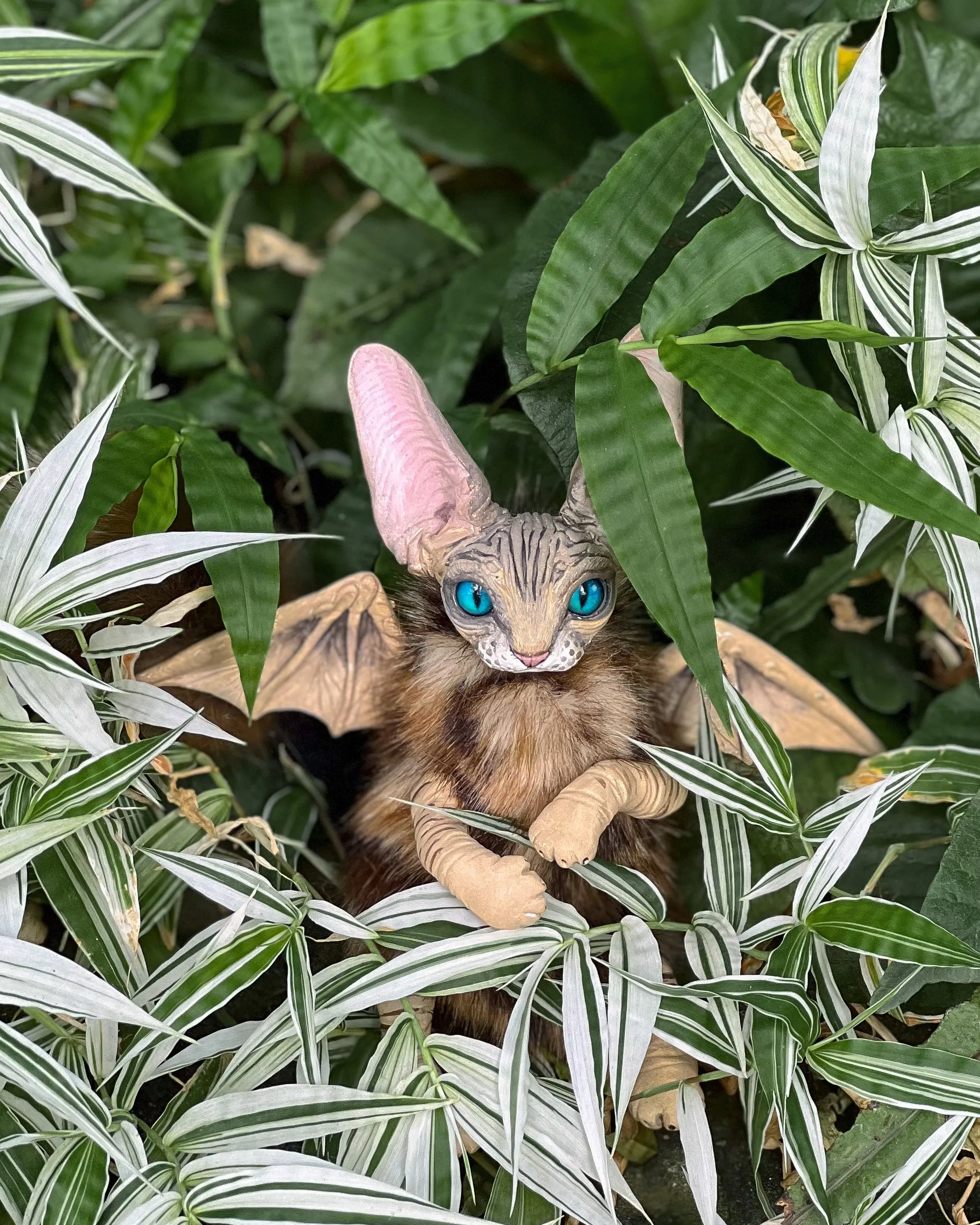 Leopard baby batcat