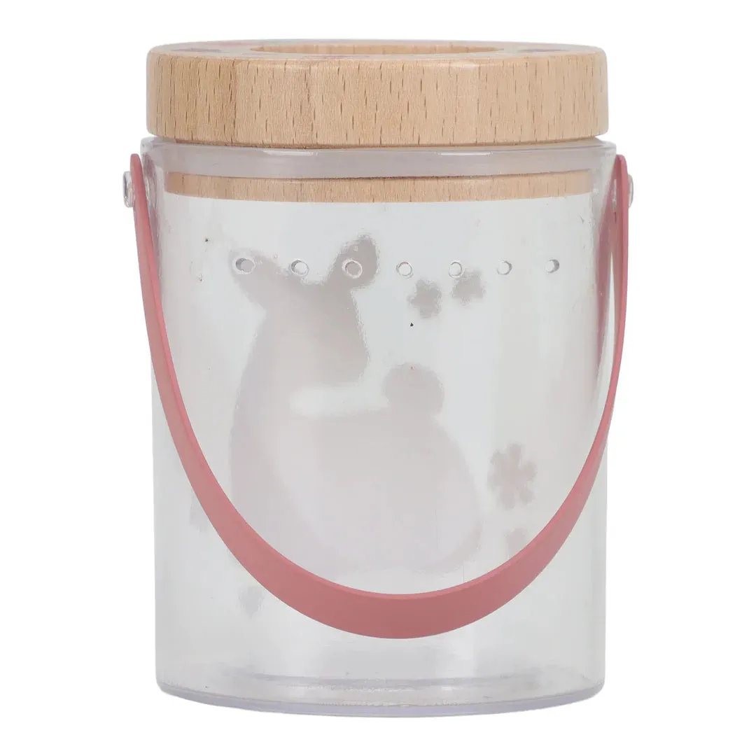 Little Dutch Insect Jar - Fairy Garden