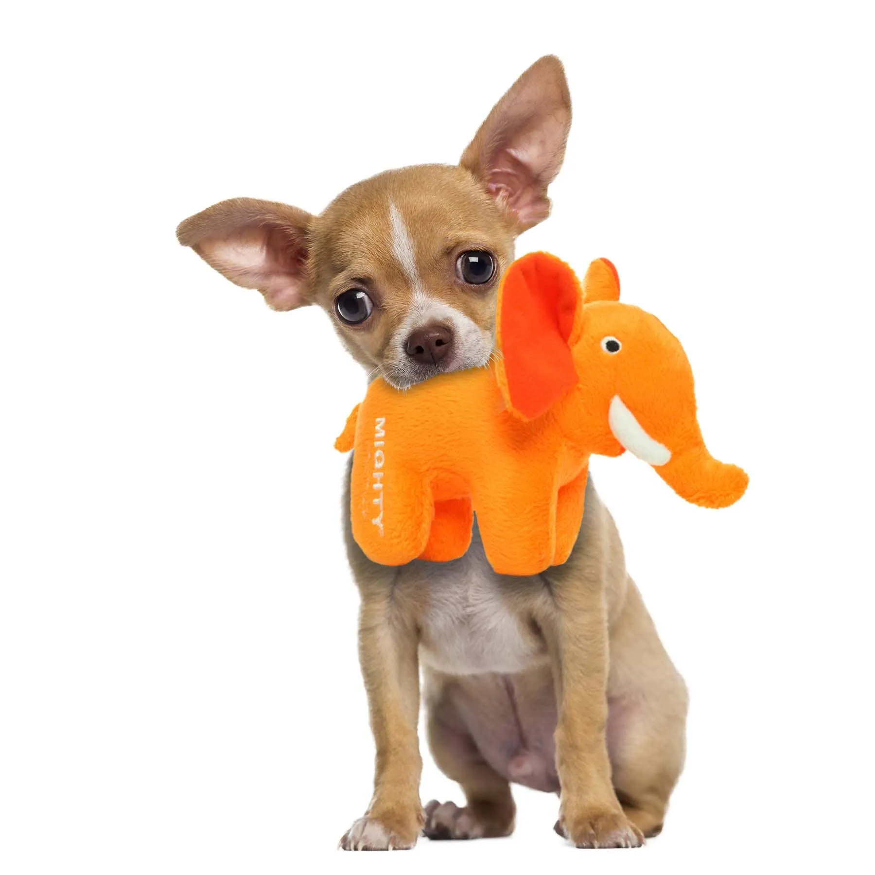 Mighty Jr. Orange Safari Elephant Plush, Squeaky Dog Toy