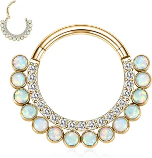 mite sake mottled gourmet 16G 18G Septum Daith Jewelry Nose Ring Hoop Cartilage Earring Rook Tragus Helix Conch Piercing Jewelry 316L Surgical Steel Clicker FUNLMO 