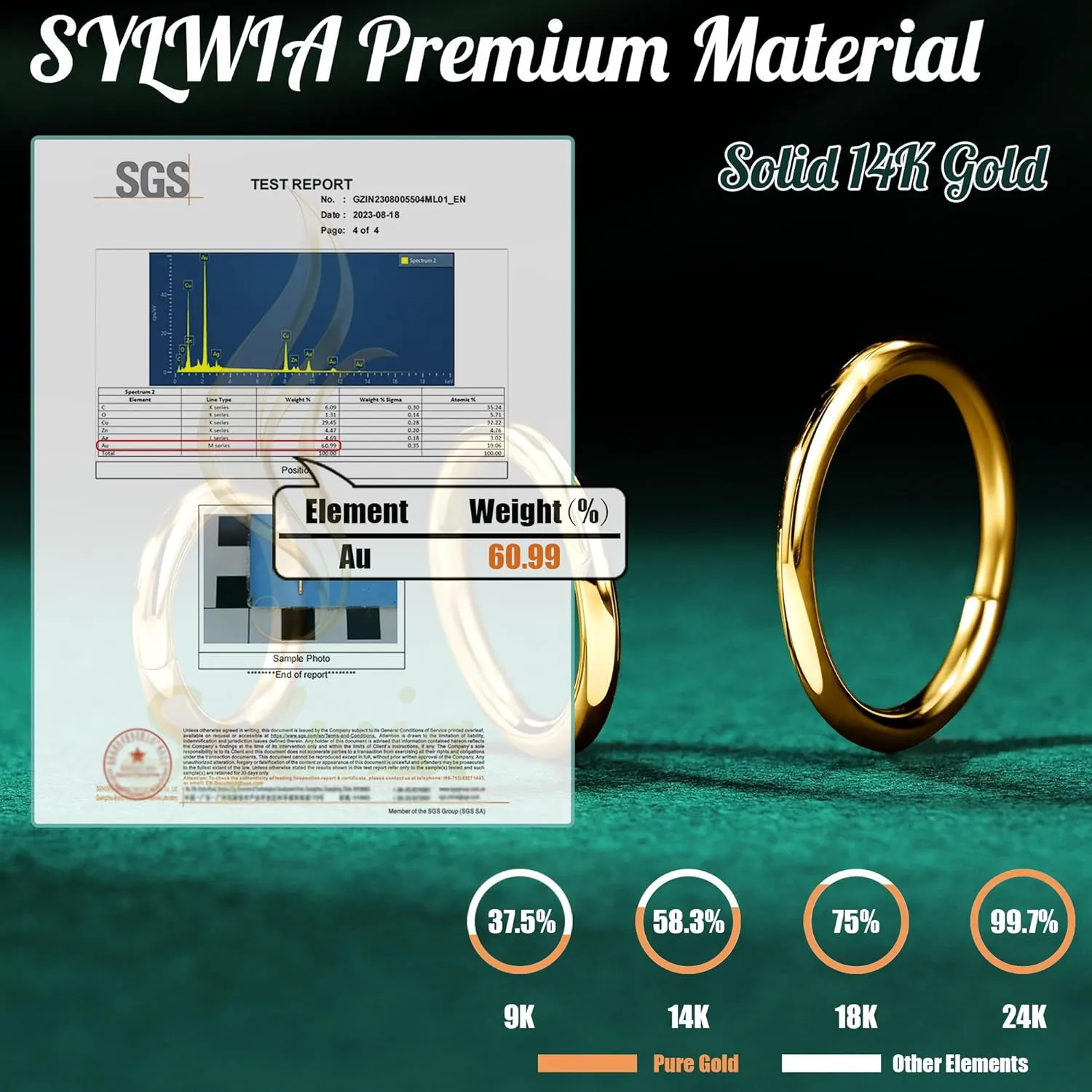 performance term firm delay corporeal consequent 6/8/10mm Hinged Segment Septum Rings, Real Gold Lip Tragus Helix Cartilage Conch Earring Hoops Piercing for Women Men SYLWIA 14K Solid Gold 18g/16g Nose Rings, 