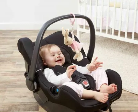 PETER RABBIT Flopsy Jiggle Attachable