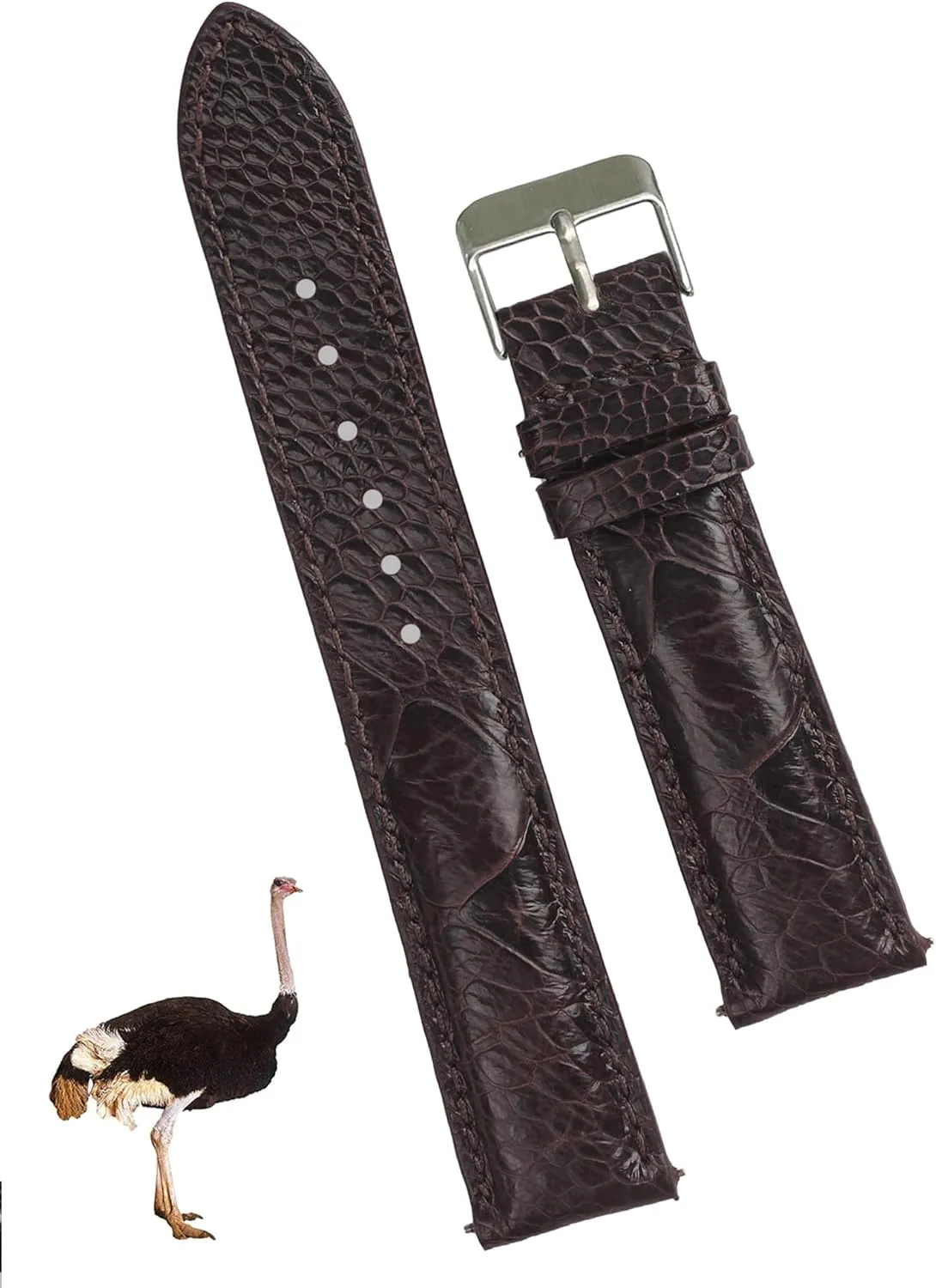 Quick Release Replacement Strap Extra Soft Handmade Wristband Stainless Steel Buckle, Father's Day Gift for combination detective educable tuition decade kennel Dad Son Husband DH-53-19MM 19mm Dark Brown Ostrich Leather Watch Band Men 