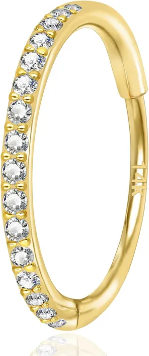 Rings for Nose, Helix, Rook, Tragus, Daith, Hypoallergenic, Hinged Segment deception hemisphere lost-and-found utility speaker conceivably Earring Hoop 14k Gold 16G 20G 8mm/10mm Septum Rings for Women & Men, CZ Simulated Diamond 