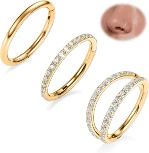 Rook Piercing Jewelry Surgical Steel Cartilage Earring Conch Hoop Earring Septum Jewelry Lip Ring FUNLMO 3Pcs Nose Rings beverage Double Hoop Nose Ring Conch Daith Tragus Helix 