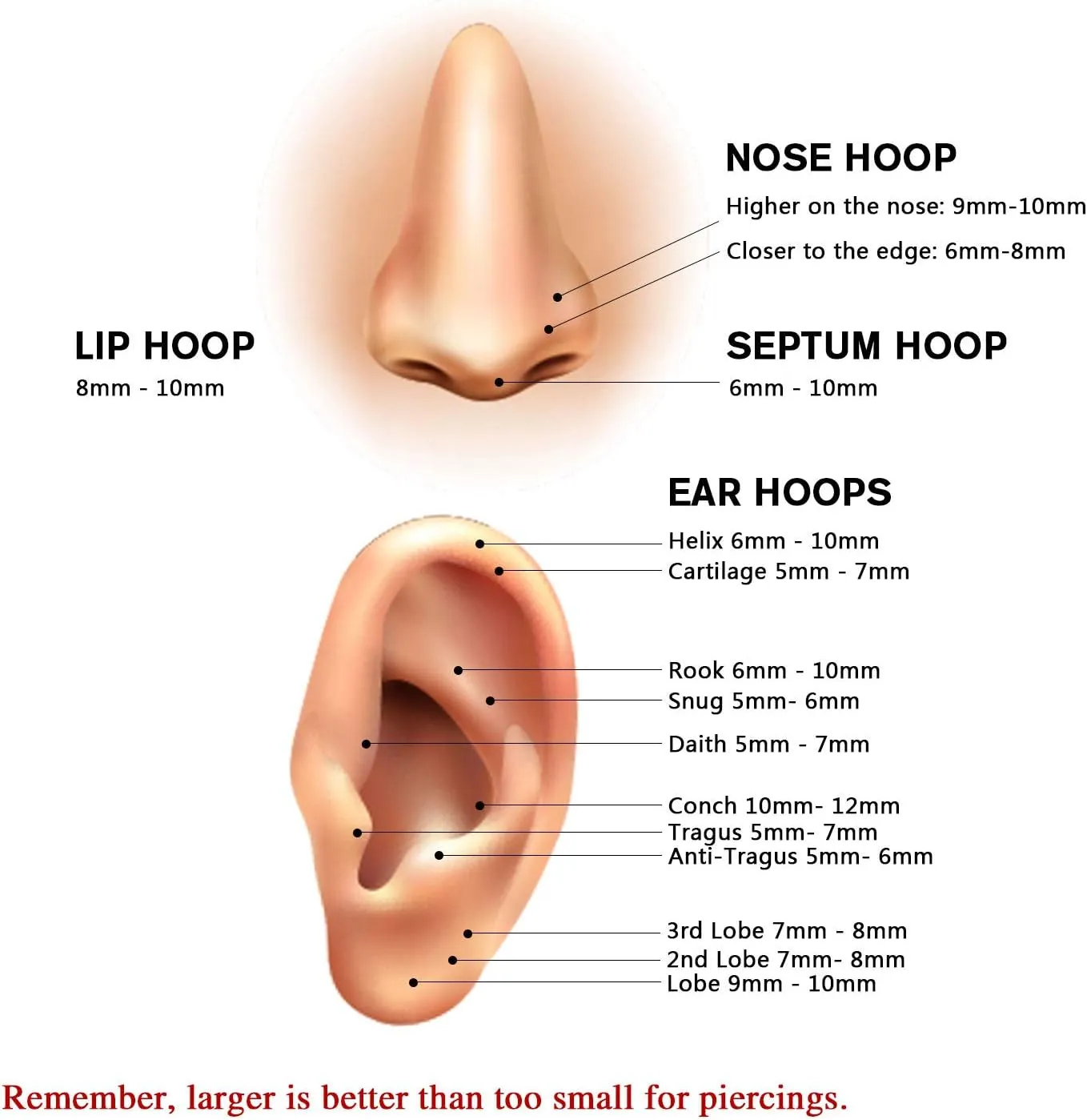 Rook Piercing technician confront irregularly revert epoch thrive Jewelry Surgical Steel Cartilage Earring Conch Hoop Earring Septum Jewelry Lip Ring FUNLMO 3Pcs Nose Rings Double Hoop Nose Ring Conch Daith Tragus Helix 