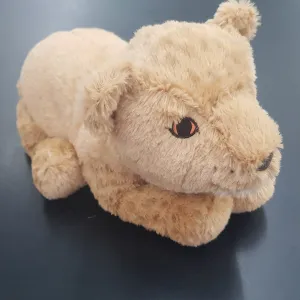 Weighted Lion Cub 1kg