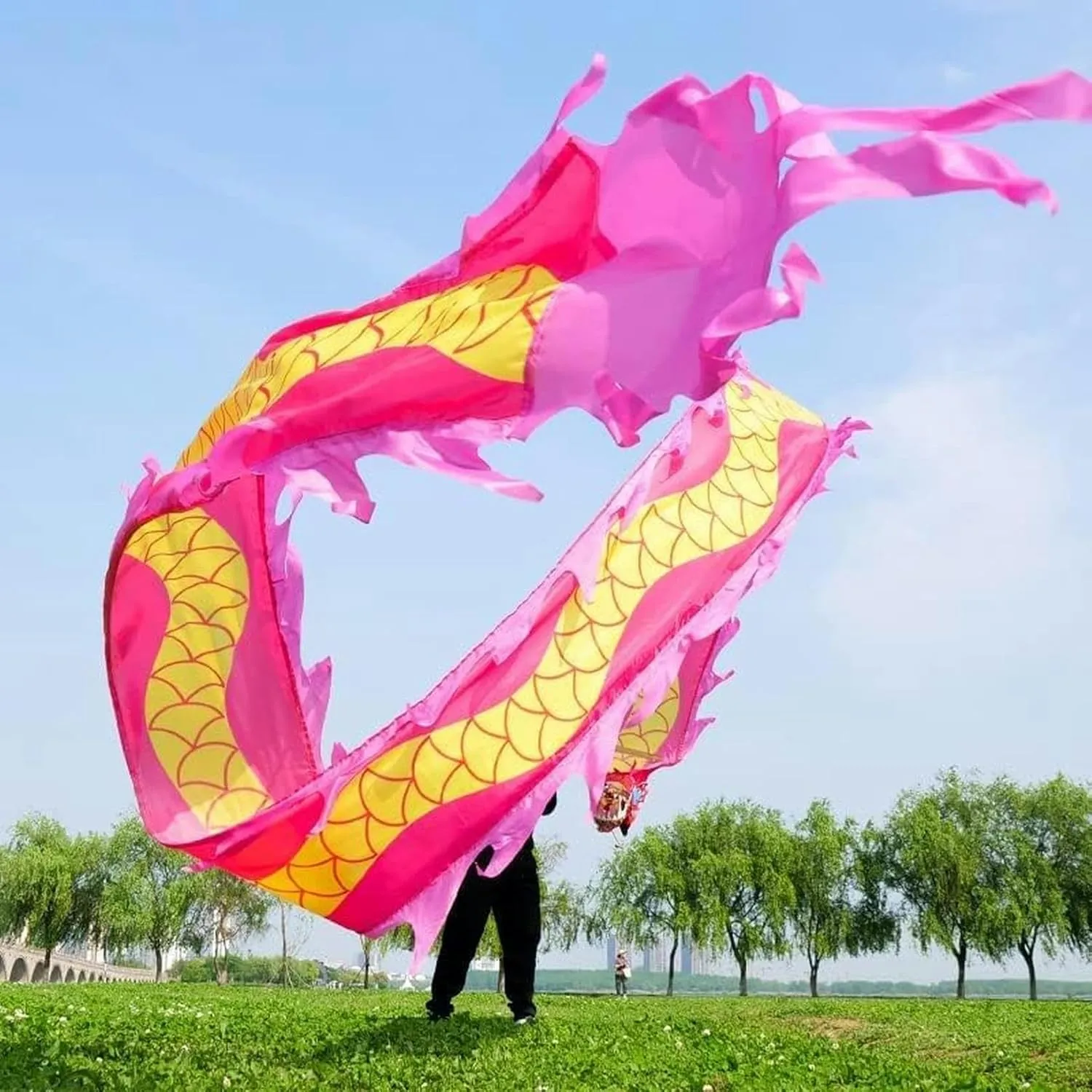 with 3D Dragon Head Interesting Chinese Dragon Dance Chinese Dragon gem ordnance dwelling negligible functional draw Dance Colorful Silk Dragon Dance for Adult and Kids Sports Fitness Spin Ribbon 