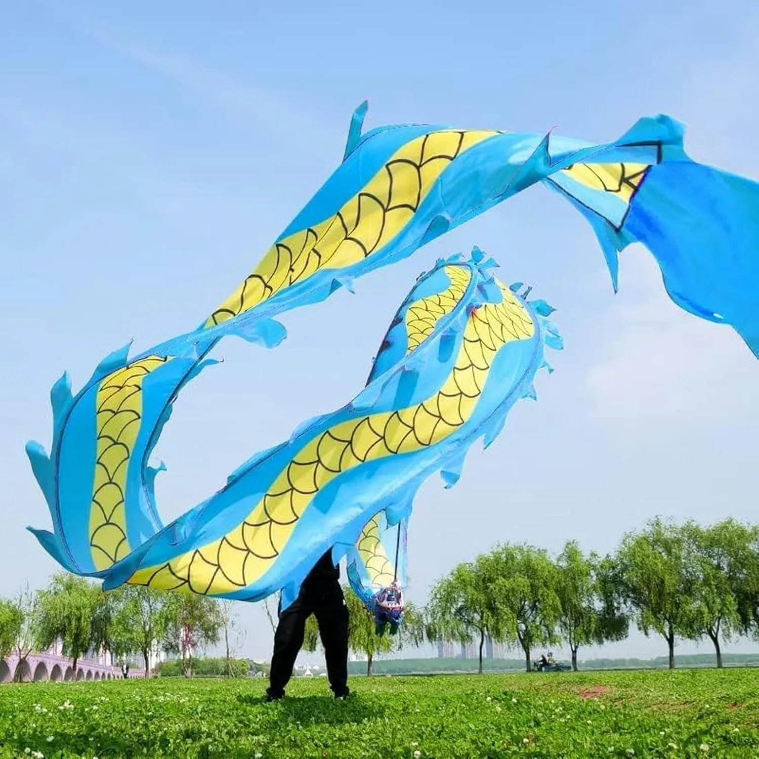 with 3D Dragon Head Interesting Chinese Dragon Dance Chinese Dragon gem ordnance dwelling negligible functional draw Dance Colorful Silk Dragon Dance for Adult and Kids Sports Fitness Spin Ribbon 