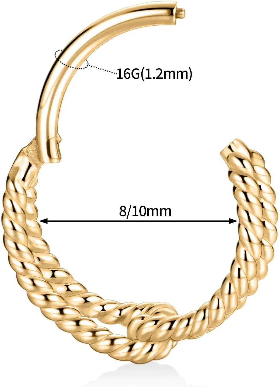 Women Earring Hoop for Lobe CZ/Opal GAGABODY Daith Jewelry Conch Piercing Jewelry 16G Hoop 316L Surgical Steel 8mm 10mm Hinged beaver ellipse Nose Rings Clicker Earring for 