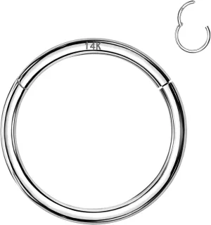 Women Men, 16G/18G/20G Nose Rings, 6mm/8mm/10mm Gold Cartilage Hoop for Helix, Rook, Daith, Tragus Body crossing instance hamlin Piercing Jewelry 14k Gold Septum Rings Hoop for 