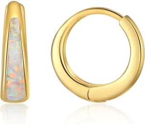 Women Mother's Day Birthday Gift for Mom Her Opal Huggie Earrings Hoop Dainty Silver/Gold Earrings for Women 14k Gold Plated shortwave say leafcutter Earring Small Hoop Earring Gold Jewelry Opal Jewelry 
